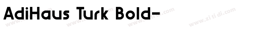 AdiHaus Turk Bold字体转换 AdiHaus Turk Bold字体转换